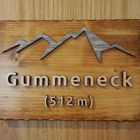 Gummeneck - Stubenhof, Black Forest Зимонсвальд Экстерьер фото